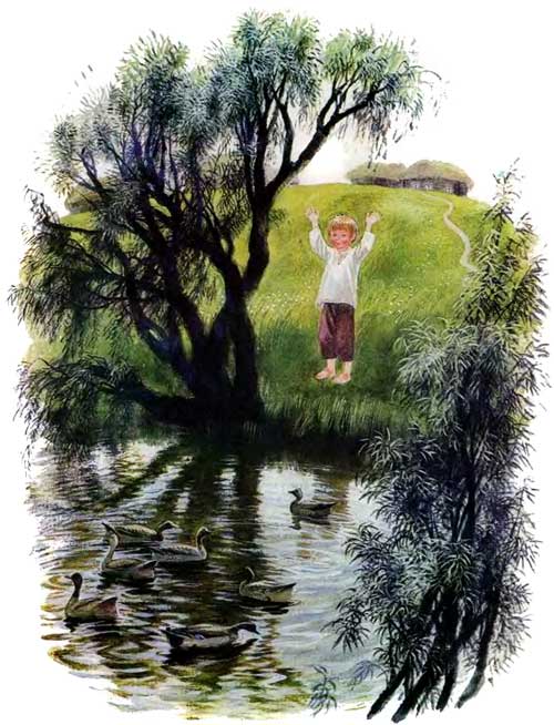 мальчик у пруда и Утки плавают в озере