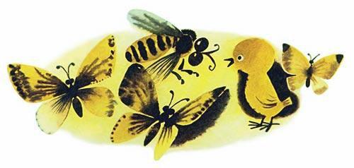желтые бабочки цыпленок и оса