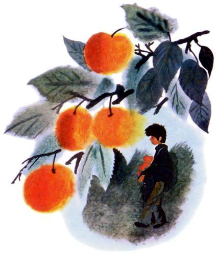 мальчик в саду яблонь
