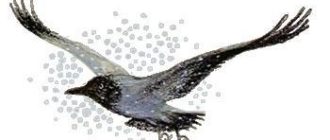 Весеннее небо: Грач - Юрий Коваль