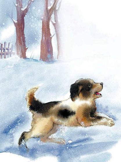 пес бежит по снегу