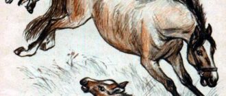 Волк и кобыла - Лев Толстой