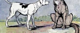 Волк и собака - Эзоп