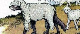 Волк в овечьей шкуре - Эзоп