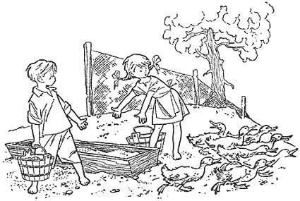 мальчик Лёня и девочка Арина кормят гусей
