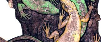 Волшебный холм - Ганс Христиан Андерсен