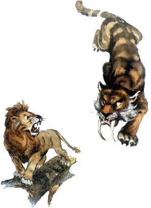 трусливый лев и саблезубый тигр