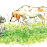 Заяц и гончая собака - Лев Толстой