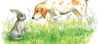 Заяц и гончая собака - Лев Толстой