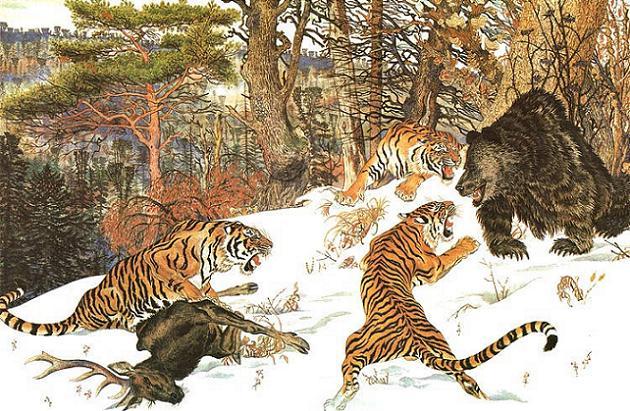 Тигры против медведя