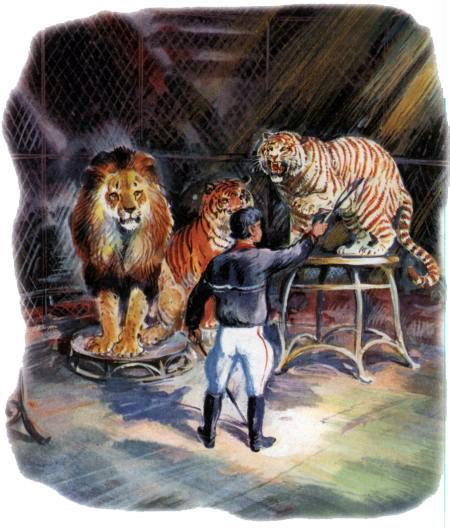 Тигрица Ригма на арене цирка и лев