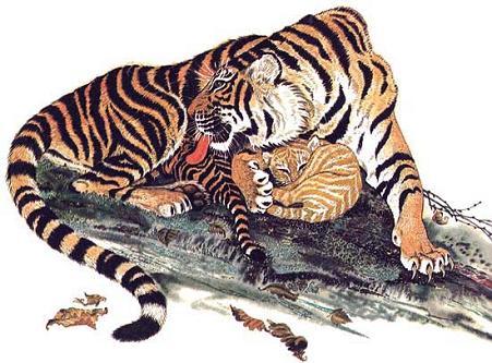 Тигрица Ригма и ее тигренок